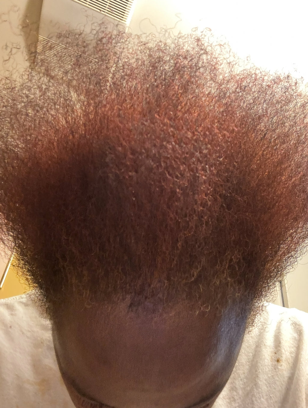 Rosemary & Aloe Hair Growth Oil