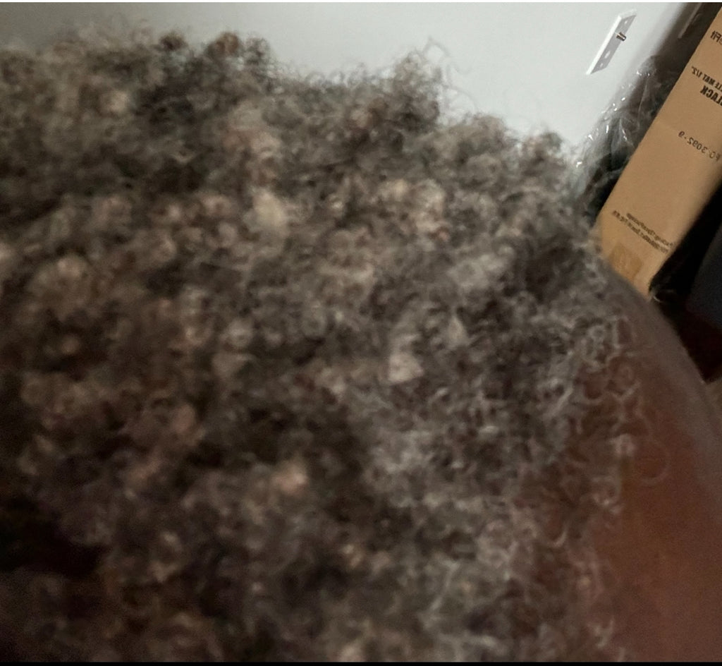 Rosemary & Aloe Hair Growth Oil